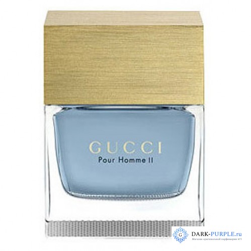 Gucci Pour Homme 2