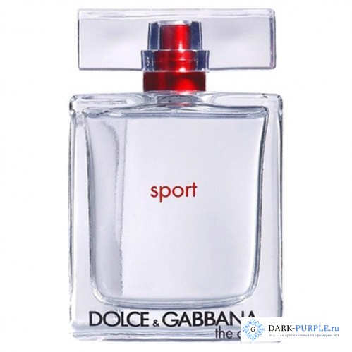 Dolce And Gabbana The One Sport